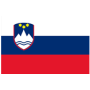 De vlag van Slovenië 20x30cm