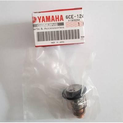 Thermostat 225 - 300 PS