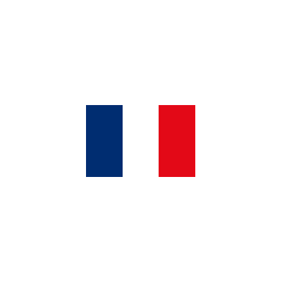 Flag Frankrike 20x30 cm