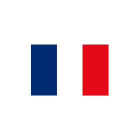 Flag France 30x45 cm