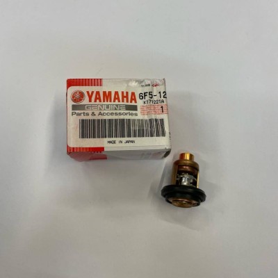 Thermostat 9,9 - 55 PS