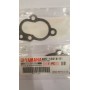 Thermostat gasket 20 - 25 - 30 hp
