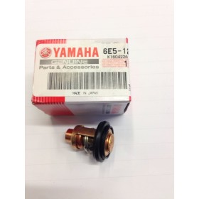 Thermostat 20 - 200 hp