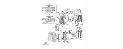 The cylinder and the crankcase 2 F250A-FL250A